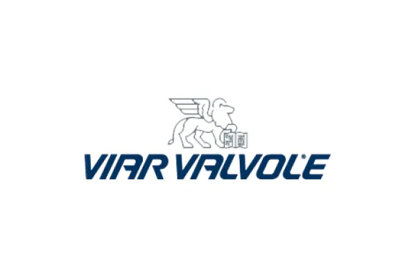 Viar Valvole